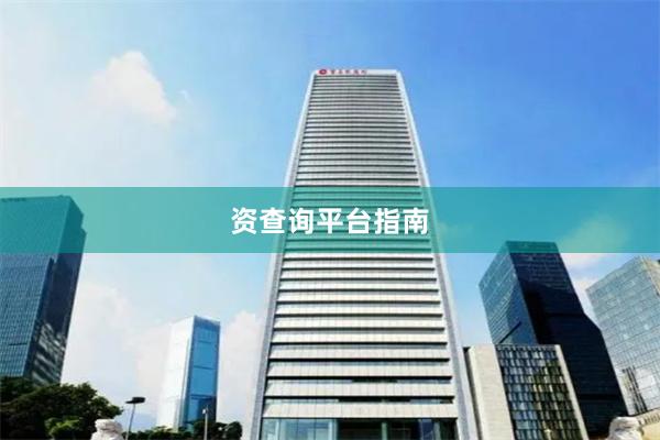 资查询平台指南